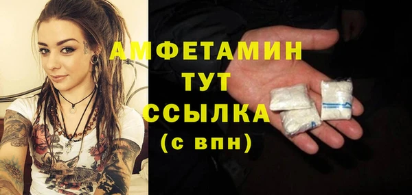 молекула духа Тайга