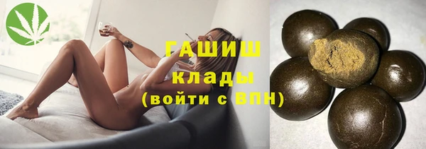 молекула духа Тайга