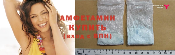 молекула духа Тайга