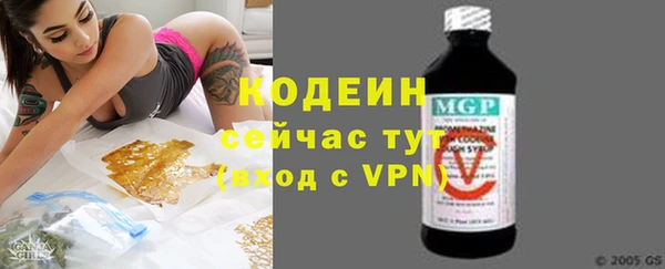молекула духа Тайга