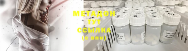 молекула духа Тайга