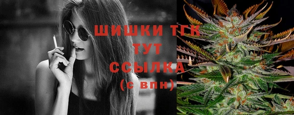 винт Сясьстрой