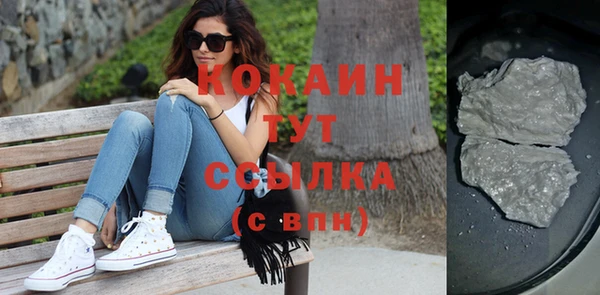 молекула духа Тайга