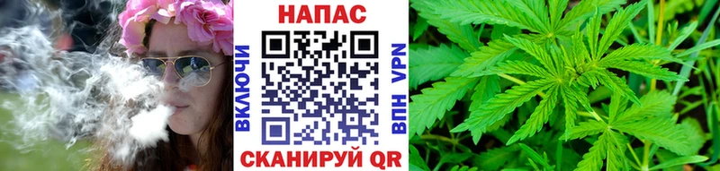 Канабис SATIVA & INDICA  Купить закладки  Светлоград 